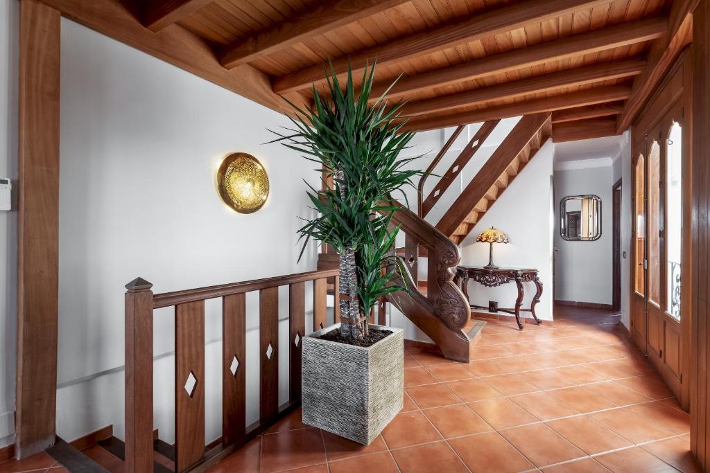 casa carpa andalucia III - 5