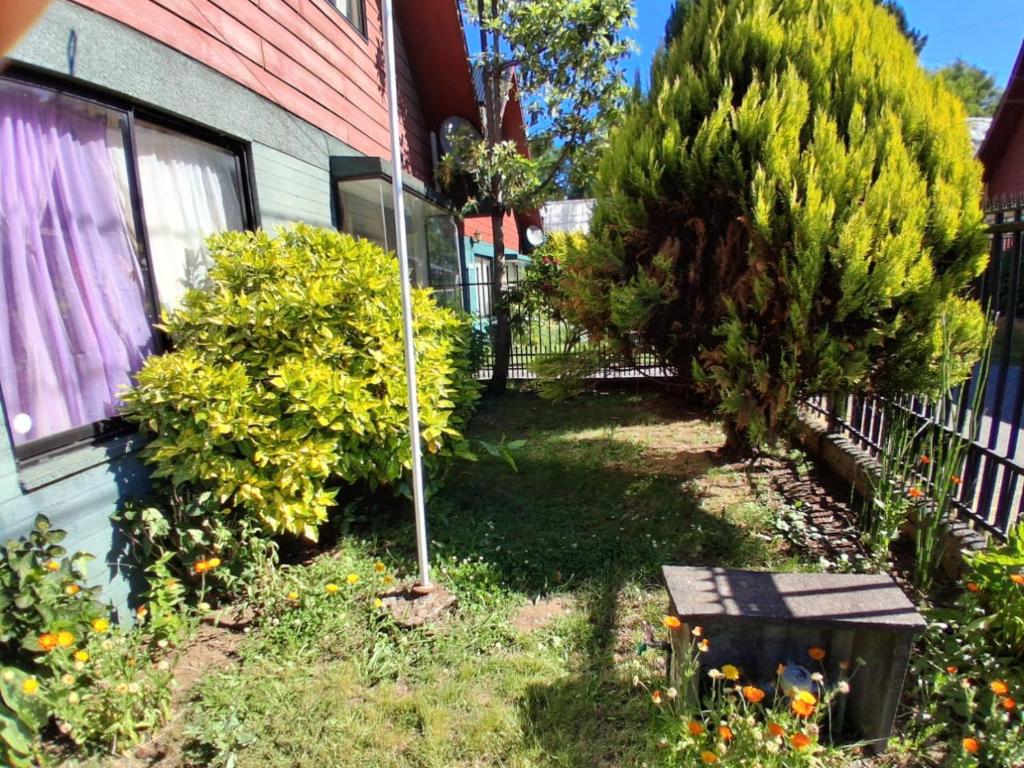 Hermoso lugar para descansar - 3