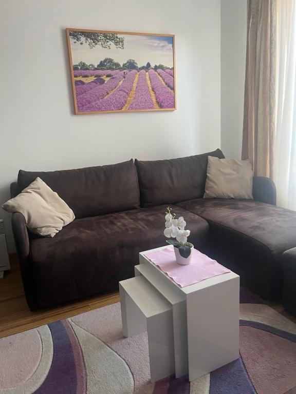 Kraljevi Čardaci apartman Lux 10 - 2