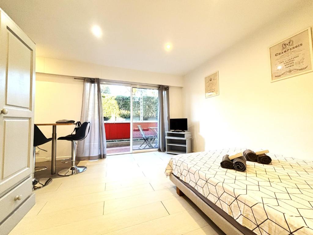 Charming Studio Cannes center with terrace, very calm - 1