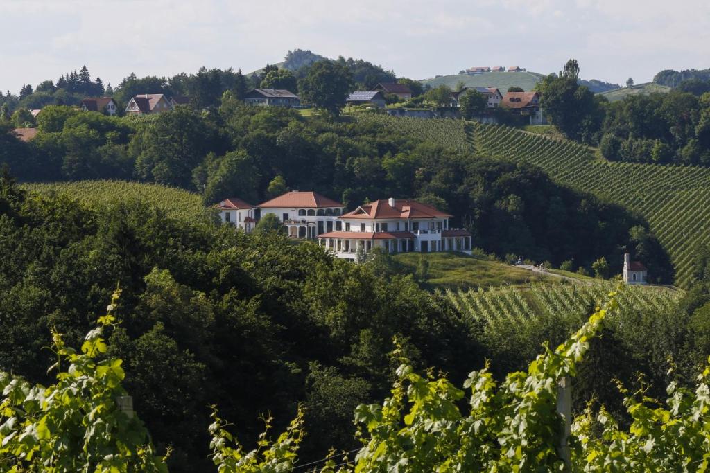 Hirschmugl Domaene Seggau GmbH - 2