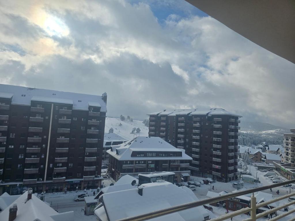 Sunny view - 5