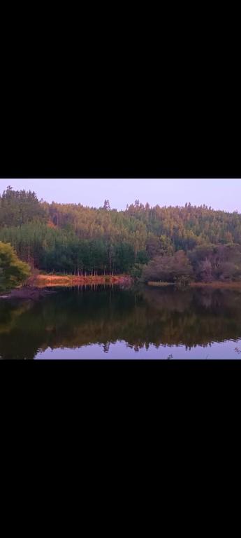 Cabañas Río Sur - 1