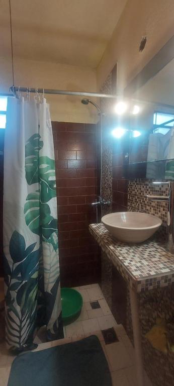 Alquilo casa - 4