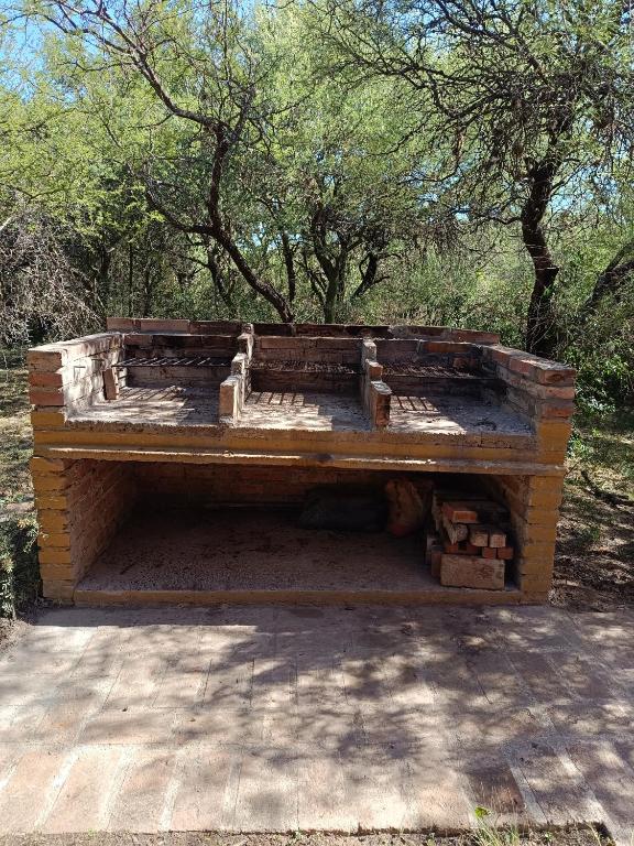 Bosquecito de Carpin - 3