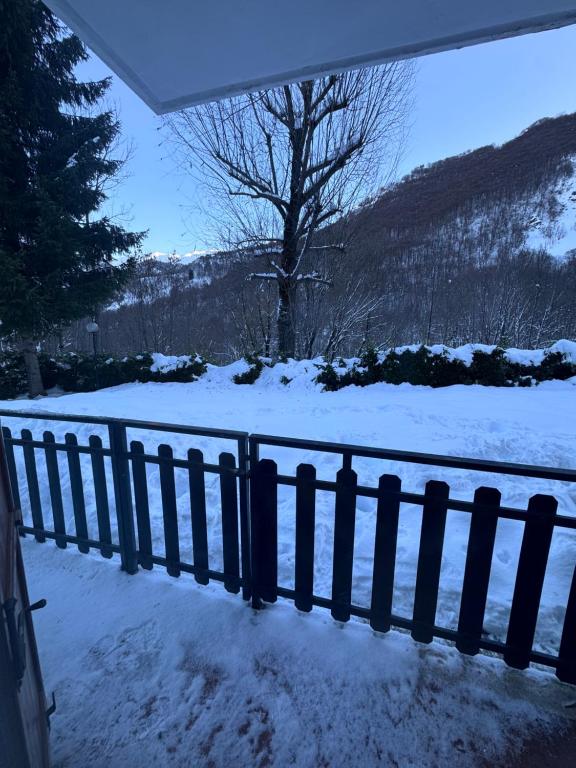 Limone in love - 4