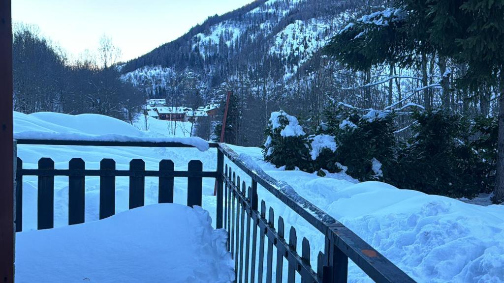 Limone in love - 5