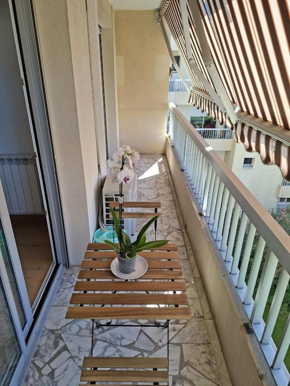 Elegant and comfortable 3 room, beach & transport within walking distance - 2