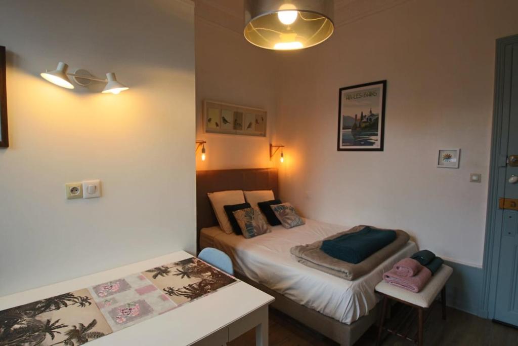 Studio 18 m2, en hyper centre-ville - 5