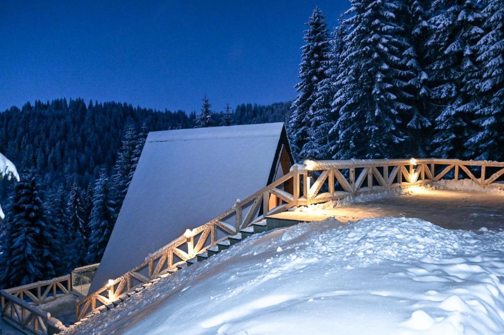 Tara mountain house Kopaonik - 5