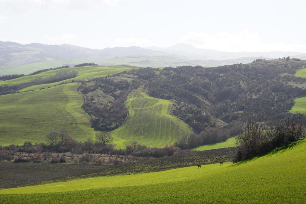 La Tana del Bianconiglio photo