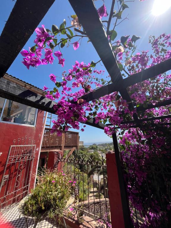 Casa Mirador Pichilemu - 5