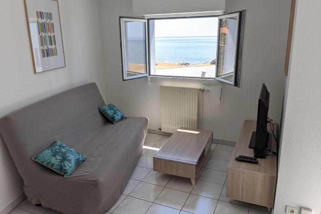 Vue Mer avec plage à 20m Saint-Marc-sur-Mer - 3