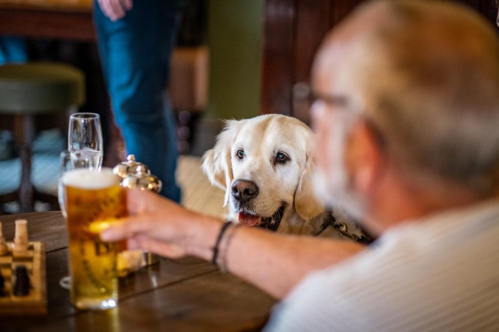 お料理のイメージ