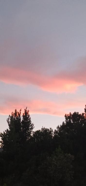 Cabaña Challhuaco - 3