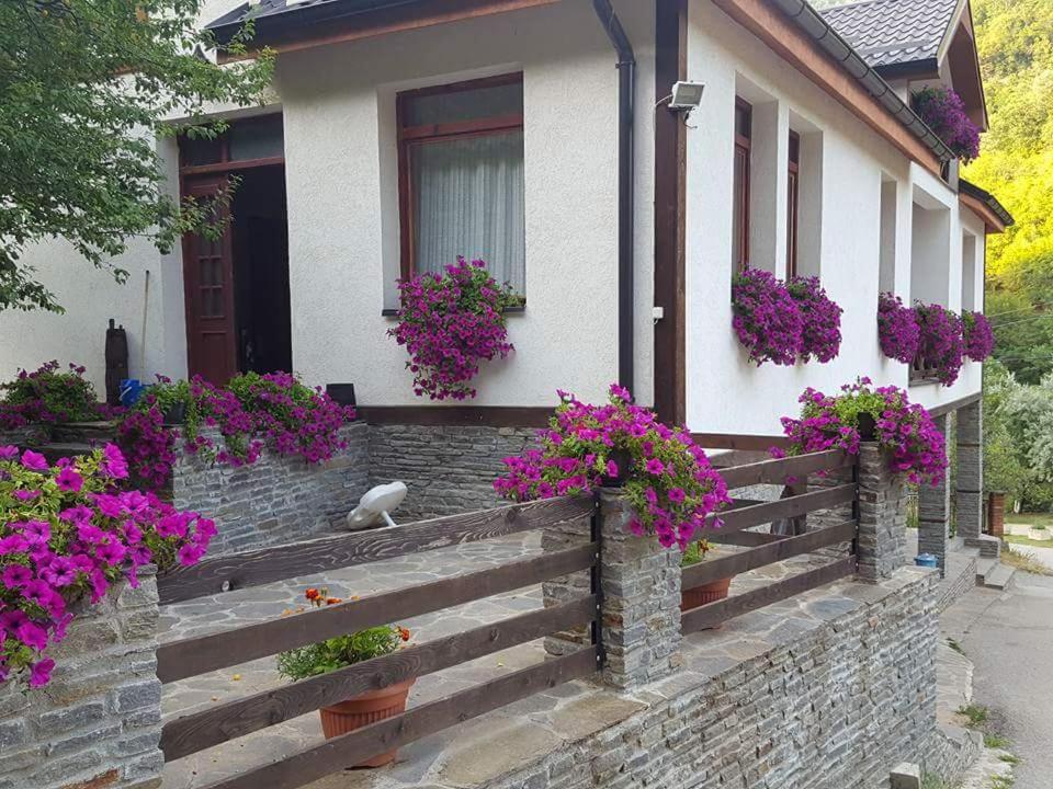 Villa Ana Marija photo