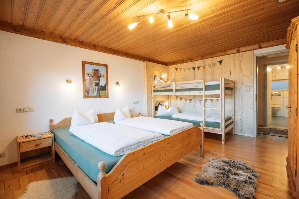 Panek, Haus - 4