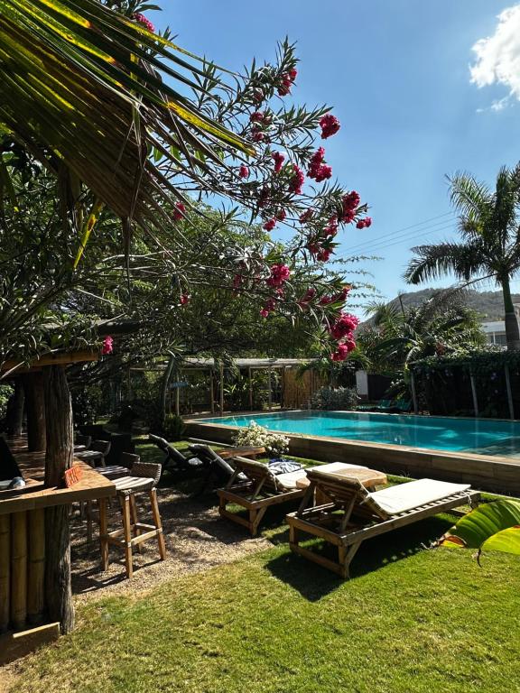 Guacamaya Kite Lodges - 2