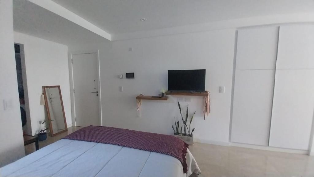 Departamento Mar del Plata Enero - 4