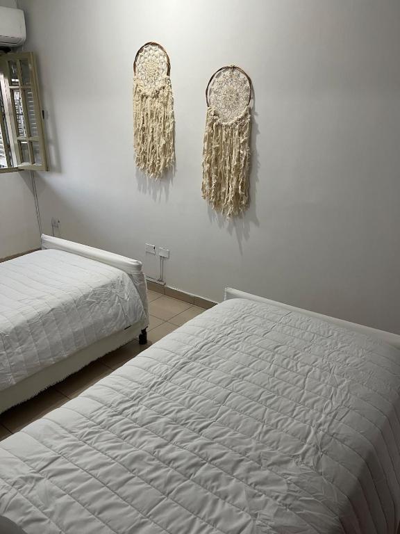 Temporario Dulev - 3