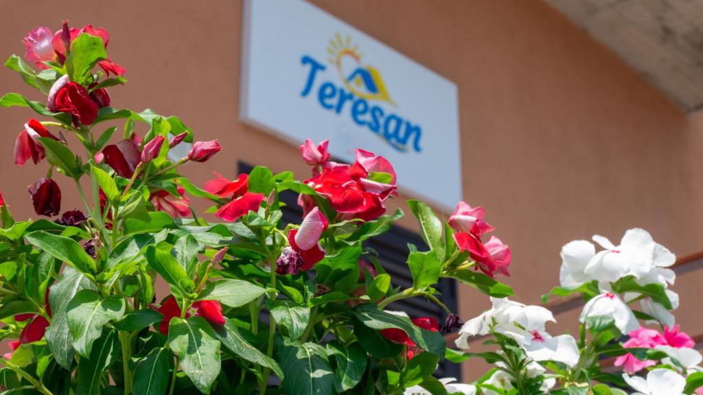 Teresan Homestay - 5