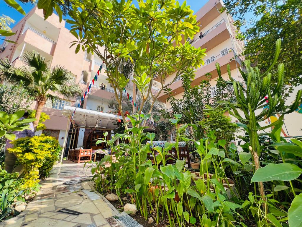 아몬 호텔 (Amon Hotel)