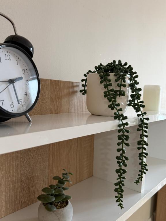 MO Center Apartment - 3