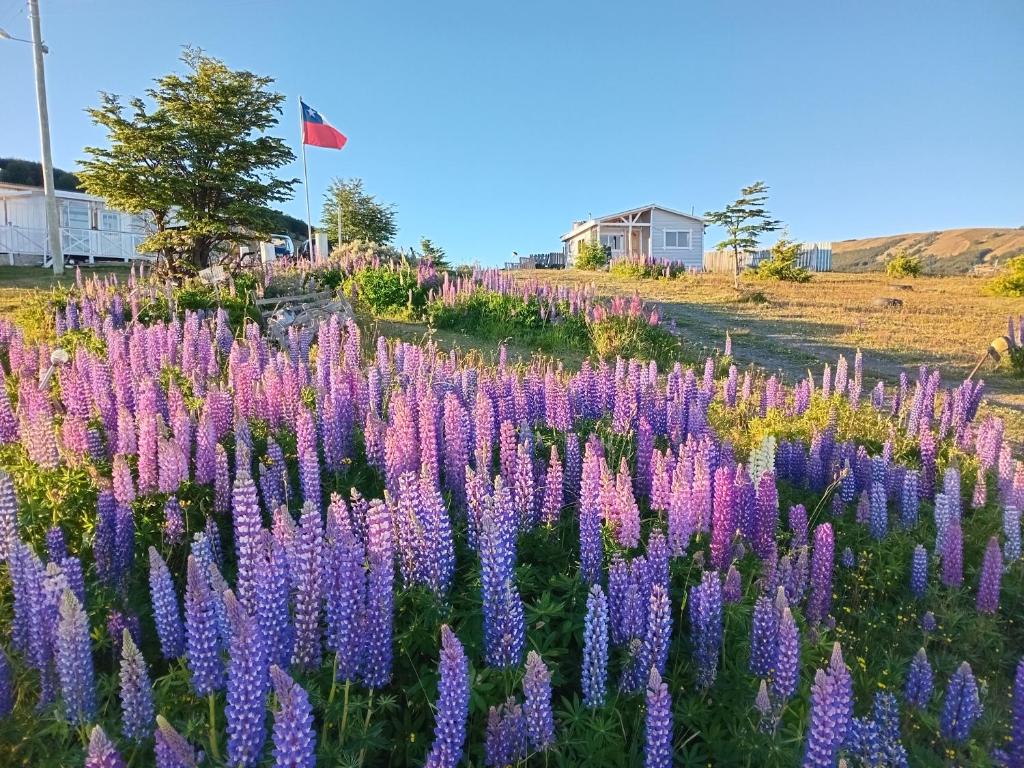Cabañas La Frontera. - 4