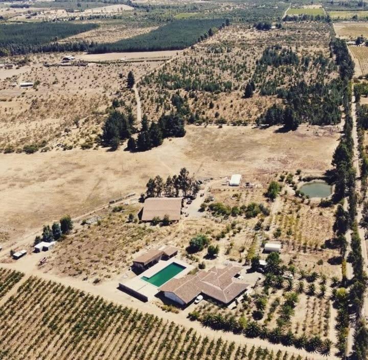 Viña Gran Hidalgo - 4