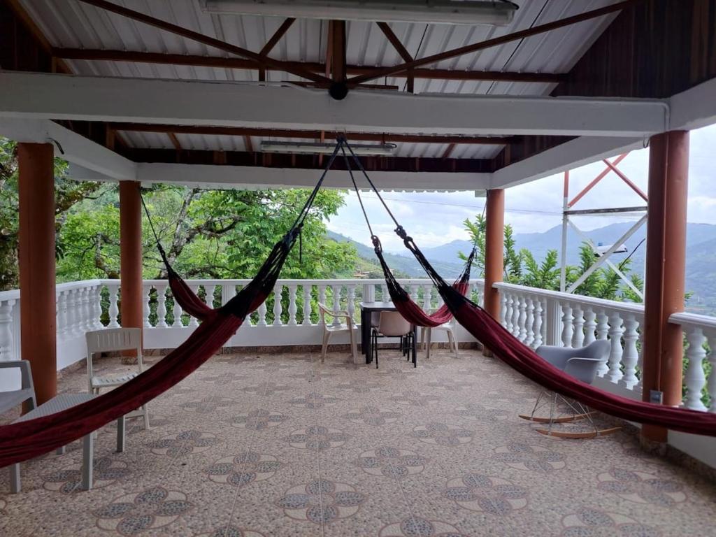 Finca El Profe - 2