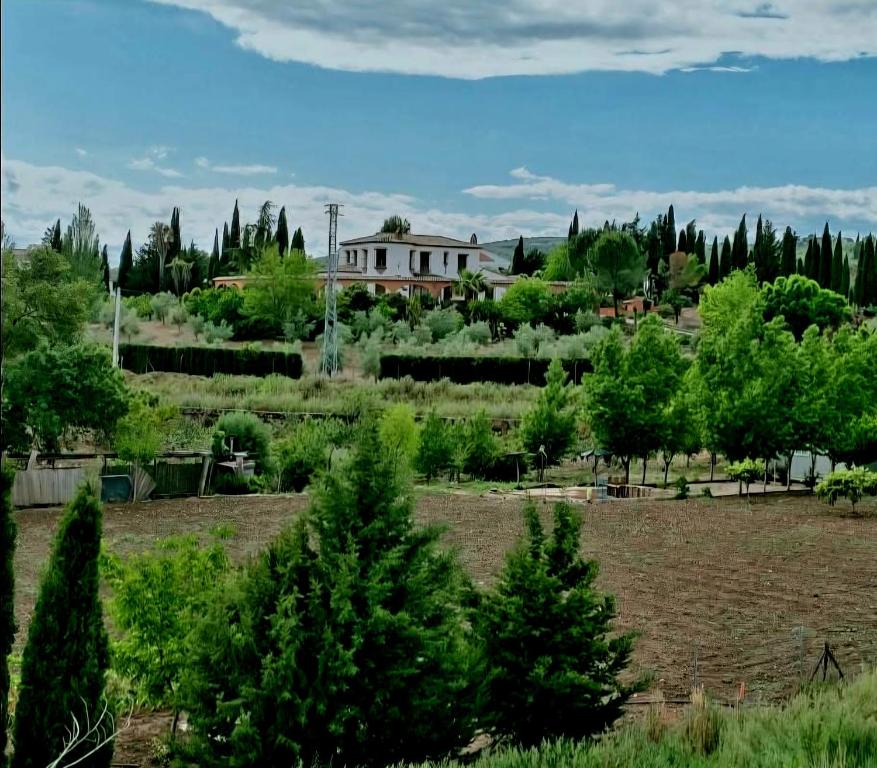 Cortijo Los Arcos - Lujo rural con piscina y vistas espectaculares en Málaga - 3