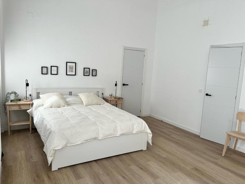 Gran apartamento Larios - 2