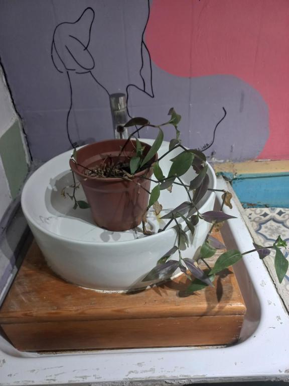 Hostel Arte Mar - 3