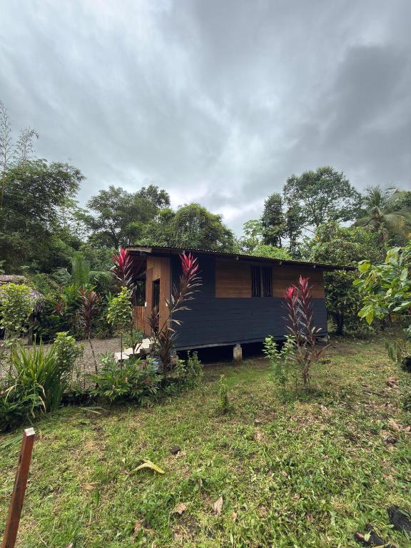 Casa Selva - 3