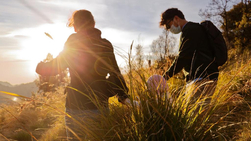 アクティビティ