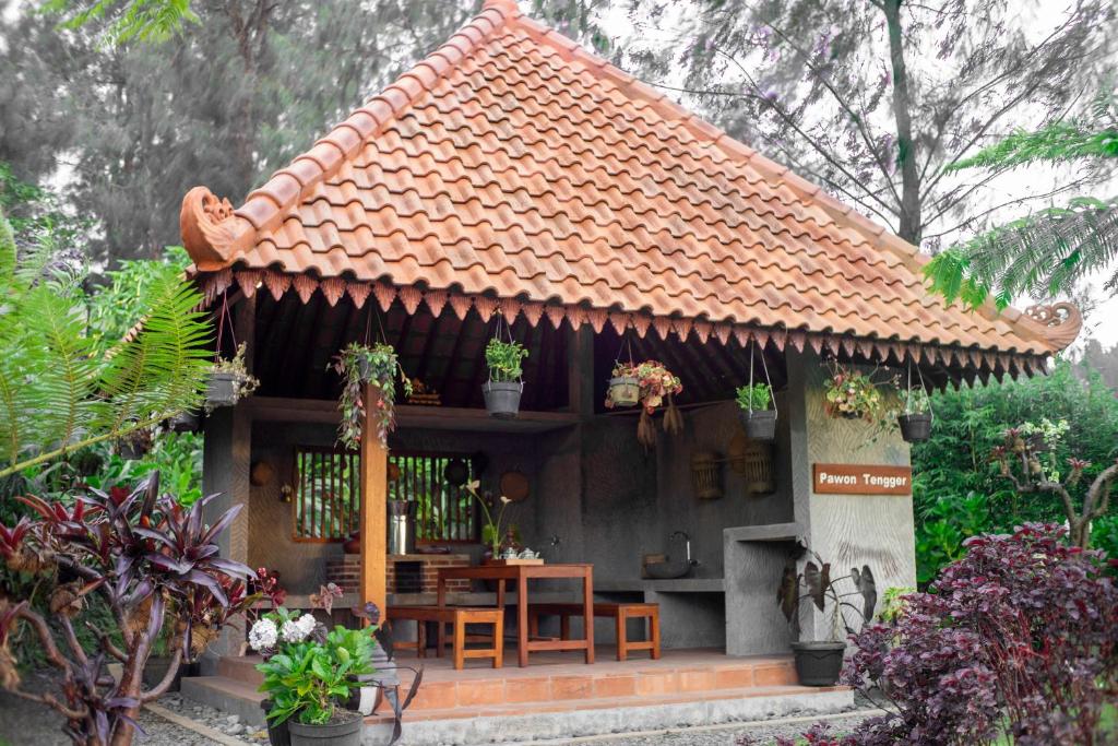 アクティビティ