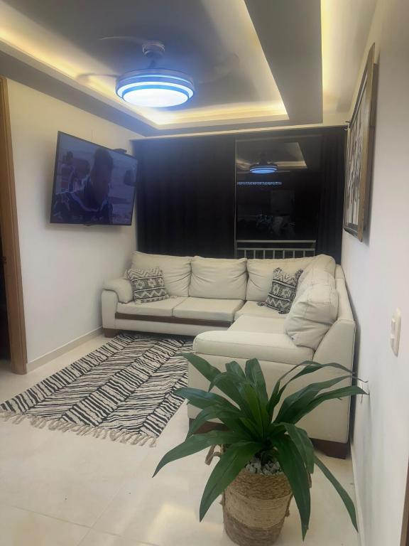 Comfortable and nice apartment - 1