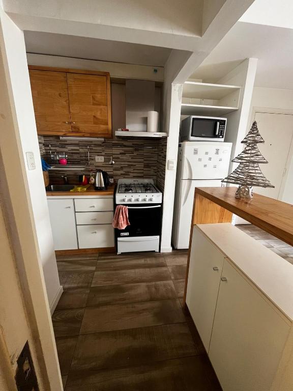 Departamento 2 ambientes en zona Aldrey - 3