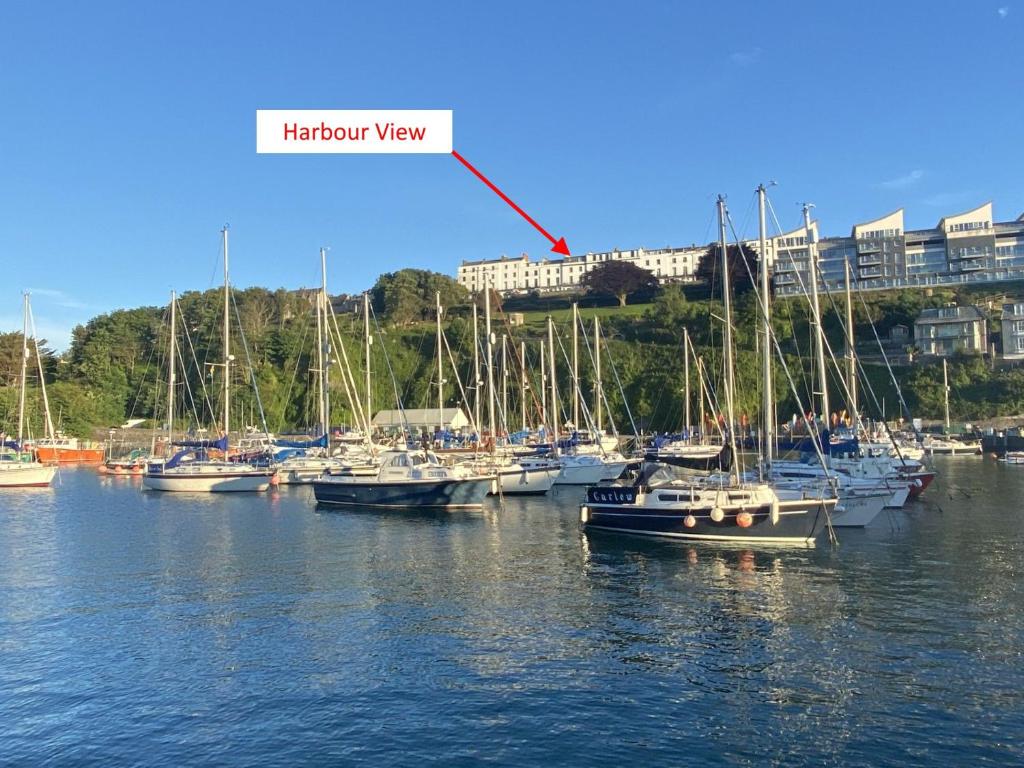 Harbour View, Hillsborough Terrace, Ilfracombe photo 8