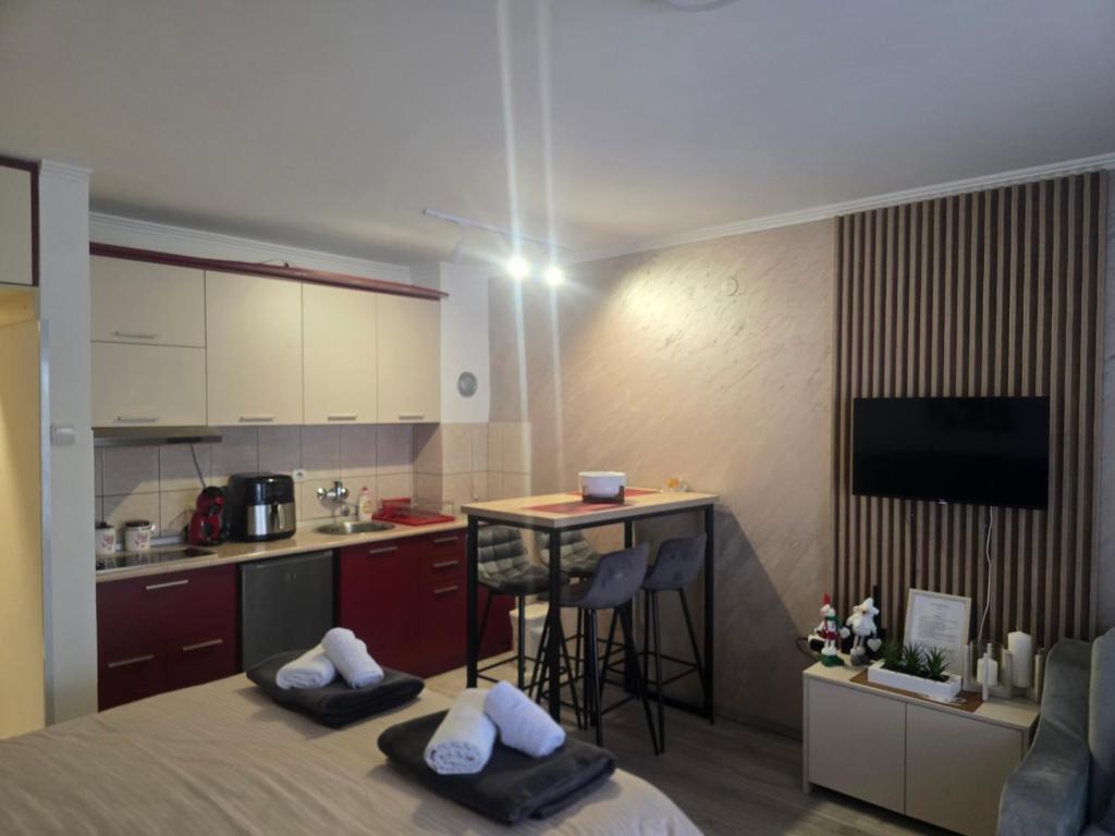 Apartman Radan M - 2