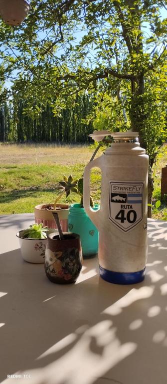 La Chacrita de Río Colorado - 1