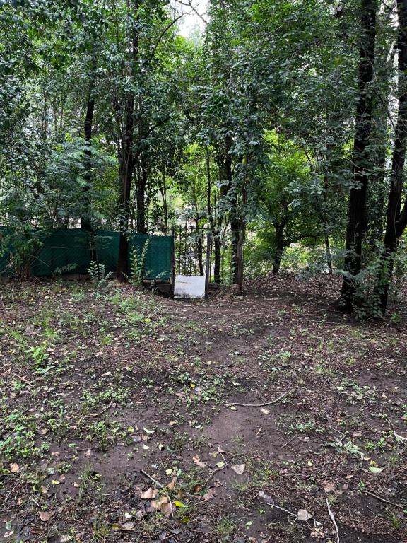 Casa de verano Marcos Lopez - 4