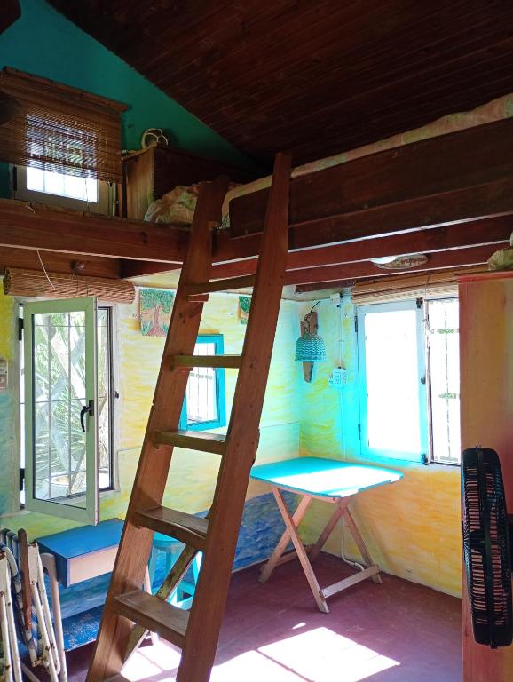 Delta Punta Alta, isla en primera sección - 5