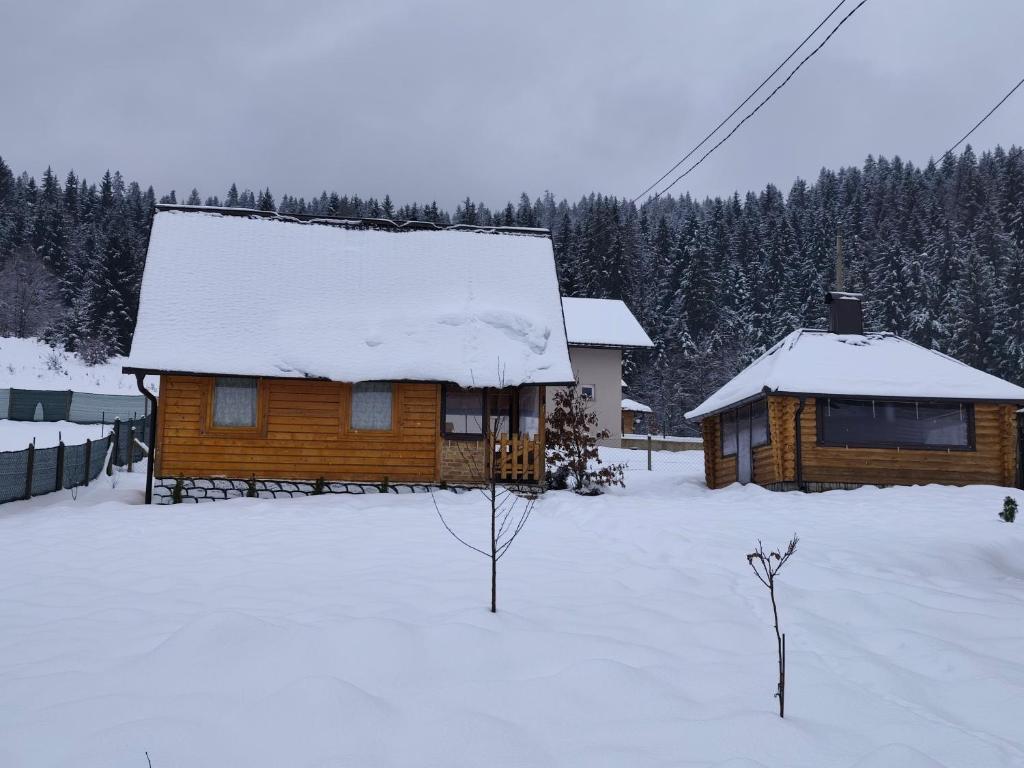 Vikendica-Brvnara Pine - 4