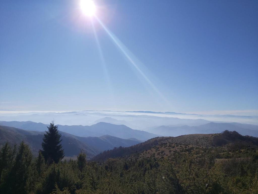 Zoi i Nika Kopaonik - 5