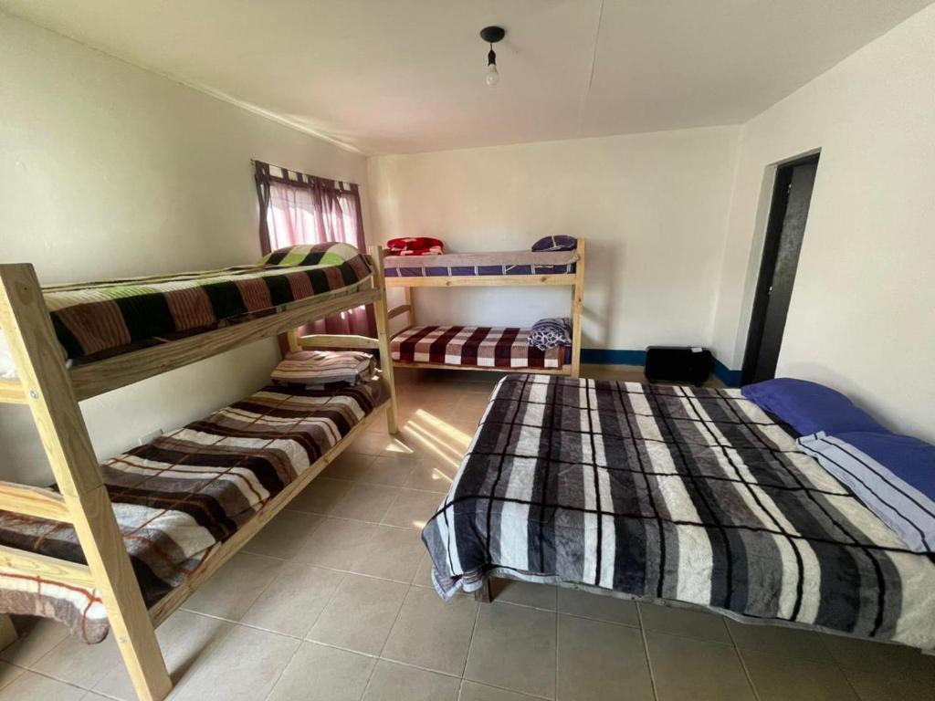 Tafi del Valle Hostel - 2
