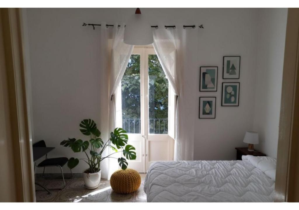 Lilium Lecce Centro - 1