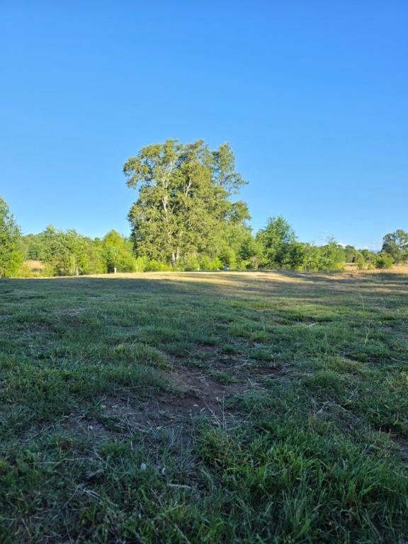 Casa Mediterránea Moderna - 3