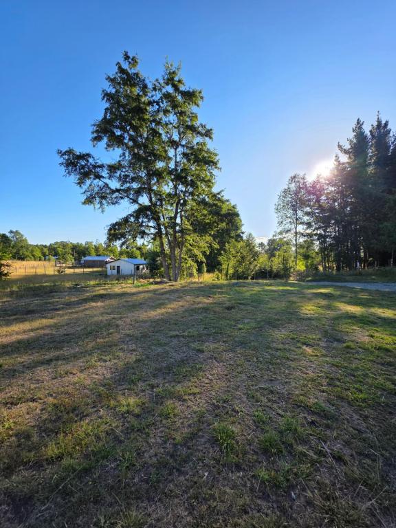 Casa Mediterránea Moderna - 5