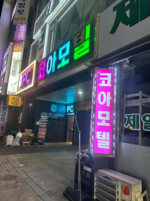 Ảnh 5